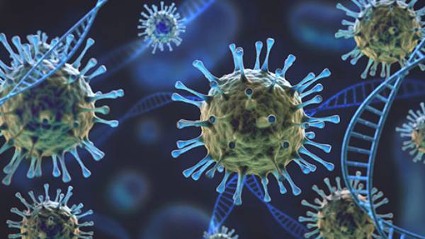  கொரோனா தடுப்பாற்றல்