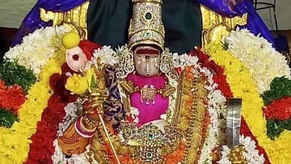 சுவாமி அம்மன் திருக்கல்யாணம் சுவாமி அம்மன் திருக்கல்யாணம்