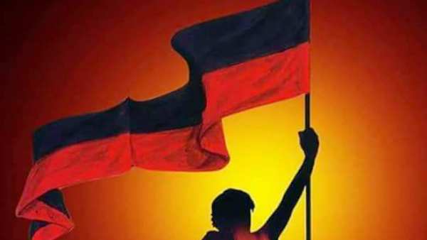  உள்ளாட்சி தேர்தல்