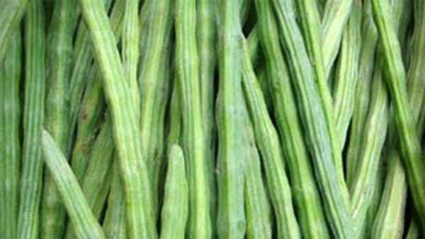 சேமிப்புக் கிடங்கு 