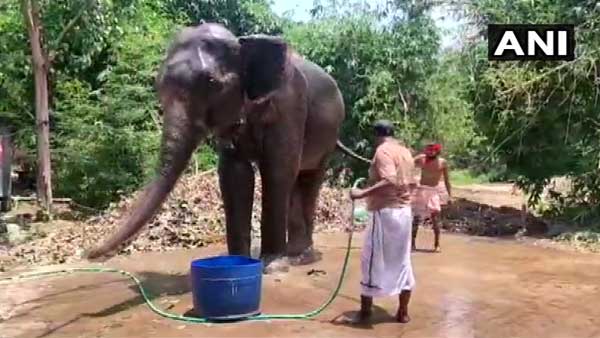மருத்துவ குணம் 