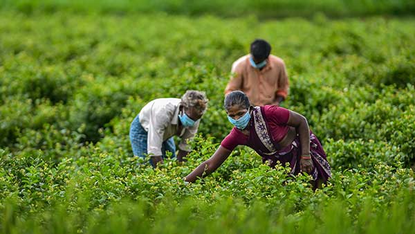 தகவல் கிடைத்தது 