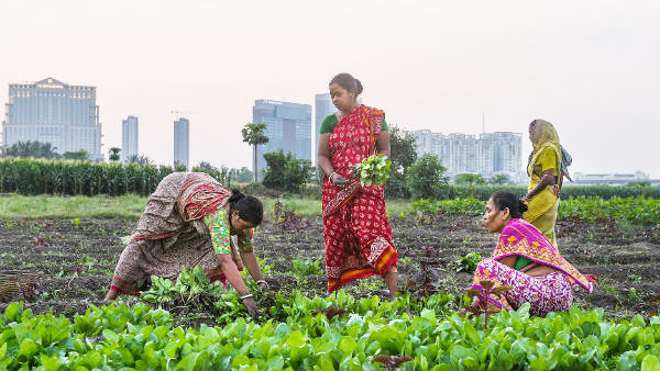 கிராமங்களுக்கு புத்துயிர் 