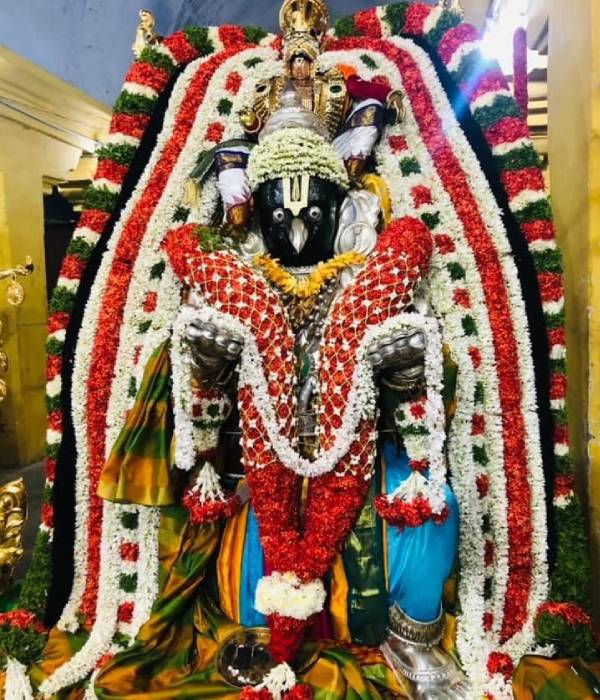 பாம்புகள்