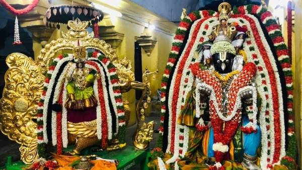 ஜோதிடத்தில் கருடன்