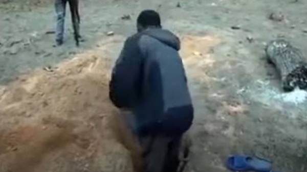  உயிர்த்தெழுதல்