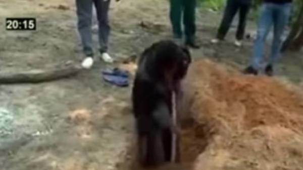  உயிரிழப்பு