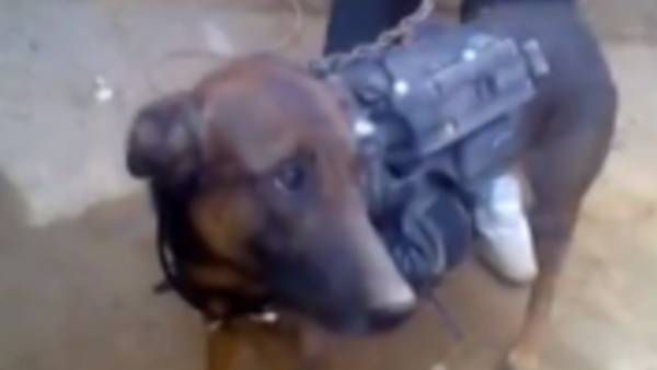 கதேரா கதேரா