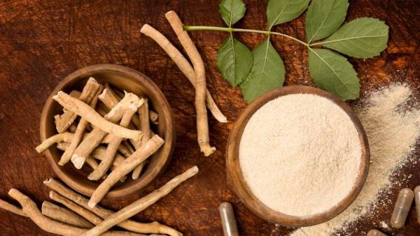 அஸ்வகந்தா 