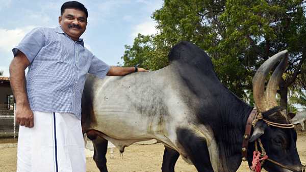 முன்னெடுப்புகள்