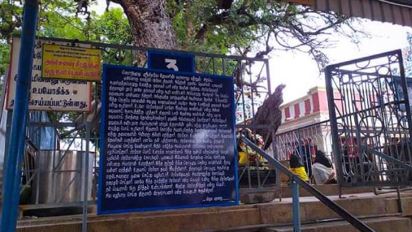 தல வரலாறு தல வரலாறு