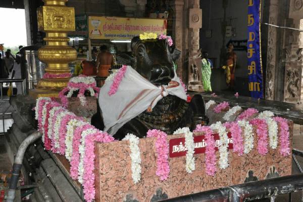 மகாலட்சுமி அருள் மகாலட்சுமி அருள்