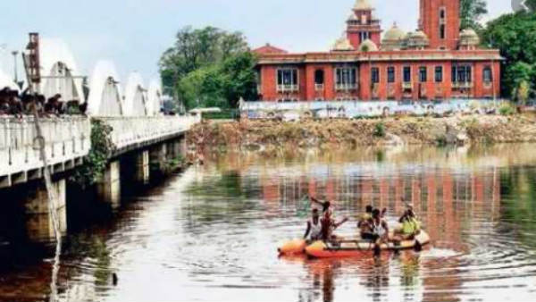  மரக்கன்றுகள்