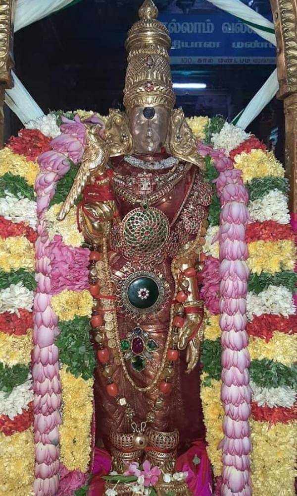 பெருகிய வெள்ளம் பெருகிய வெள்ளம்