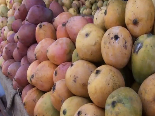 ரகரகமாய் மாம்பழங்கள்