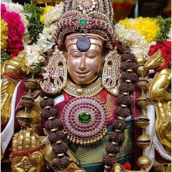 நரிகளை பரியாக்கிய இறைவன் 