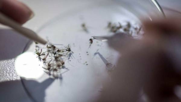  மூளைக்கு ஆபத்து