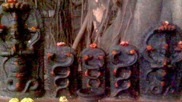 கருட தரிசனம் 