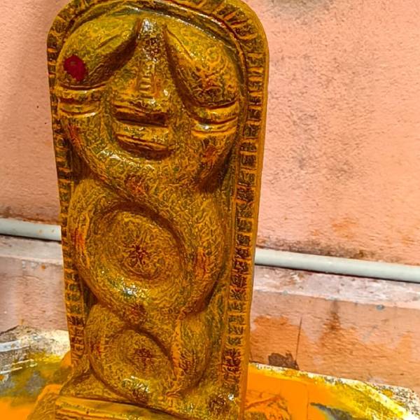 தோஷங்கள் நீக்கும் நாக சதுர்த்தி வழிபாடு 