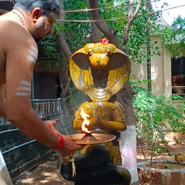 நாகர்களை வணங்குவோம் 