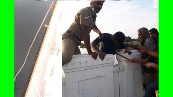  நேப்பியர் பாலம்