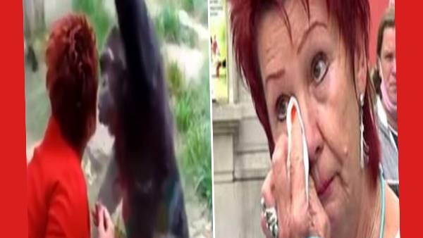 குரங்கு சேட்டை 