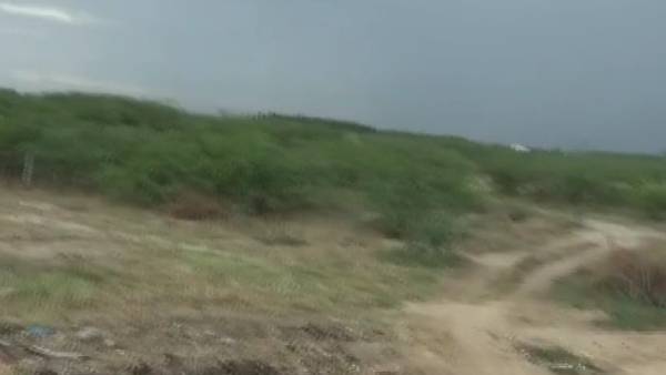 விசாரணை 