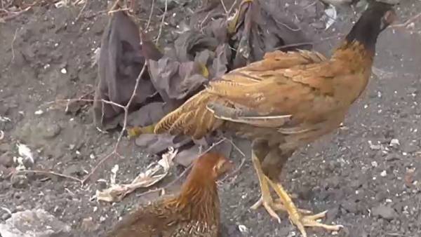 என் சொன்னாய் 