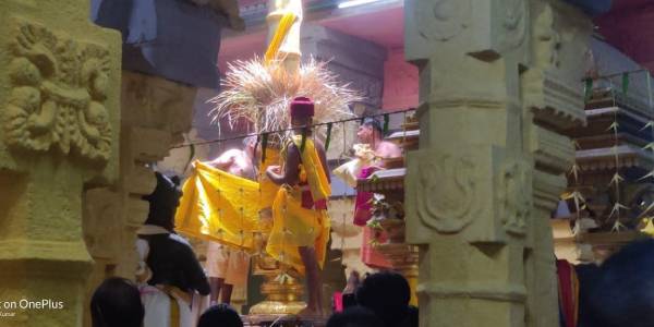 சுவாமி அம்மன் திருக்கல்யாணம் சுவாமி அம்மன் திருக்கல்யாணம்