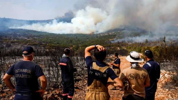 சிக்னல் 