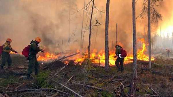 துருக்கி 