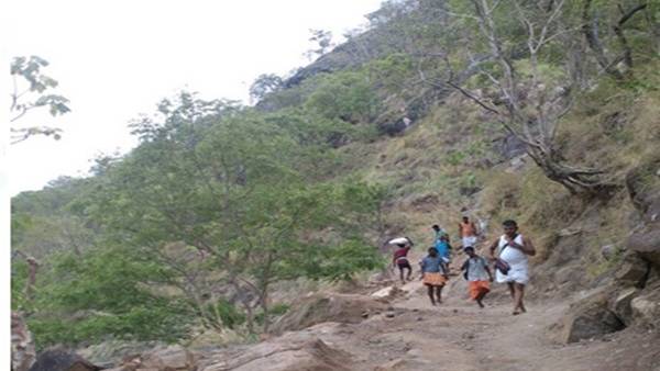 தவசிப்பாறை தவசிப்பாறை