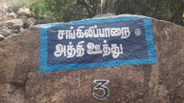 நோய் நீக்கும் நாவல் ஊற்று நோய் நீக்கும் நாவல் ஊற்று