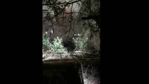 Tamil Nadu Crime Round Up For August 2 