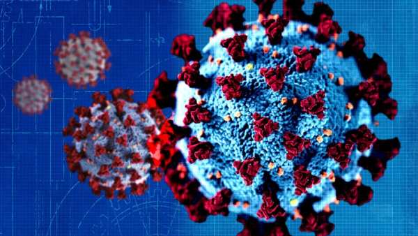 தென்னாப்ரிக்க ஆய்வு முடிவுகளுக்குப்பின் முடிவு தென்னாப்ரிக்க ஆய்வு முடிவுகளுக்குப்பின் முடிவு