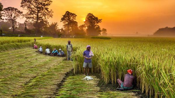 பட்ஜெட்டில் முக்கியத்துவம் 