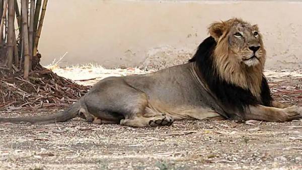 மிகப் பெரிய சவால்