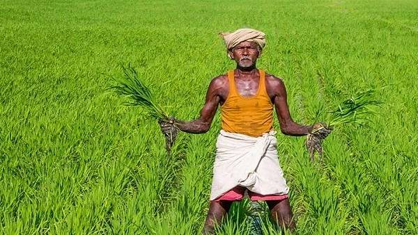 வெள்ளை வேட்டி 