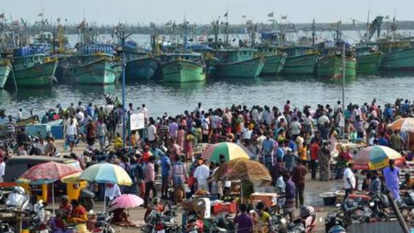 மீன் வளத்துறை மீன் வளத்துறை