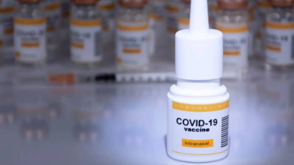 Phase 2 of the nasal decongestant corona vaccine is approved 