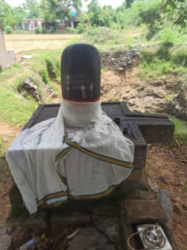 எந்த காலம் எந்த காலம்