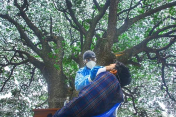 கேஸ்கள் 