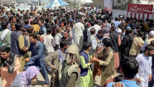 தாலிபான்கள் விருப்பம் தாலிபான்கள் விருப்பம்