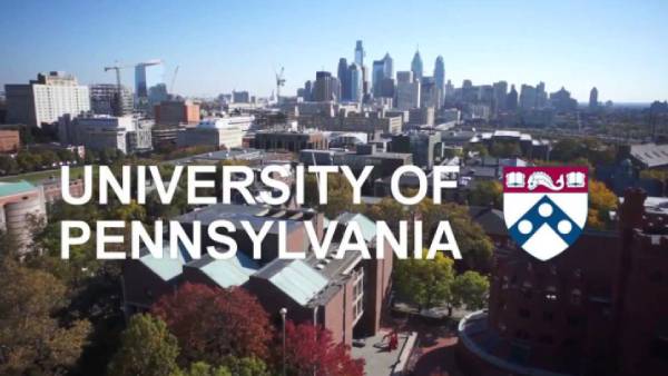 நோய் எதிர்ப்பு நினைவு பெட்டகம் 