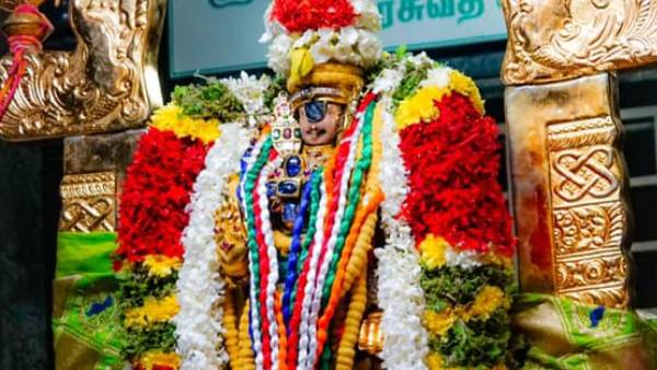 Srirangam Ranganathar Temple Pavithrorchavam : Namperumal who saw the rice 