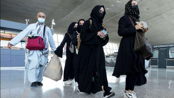 சர்வதேச அமைப்பின் ஊழியர்கள்