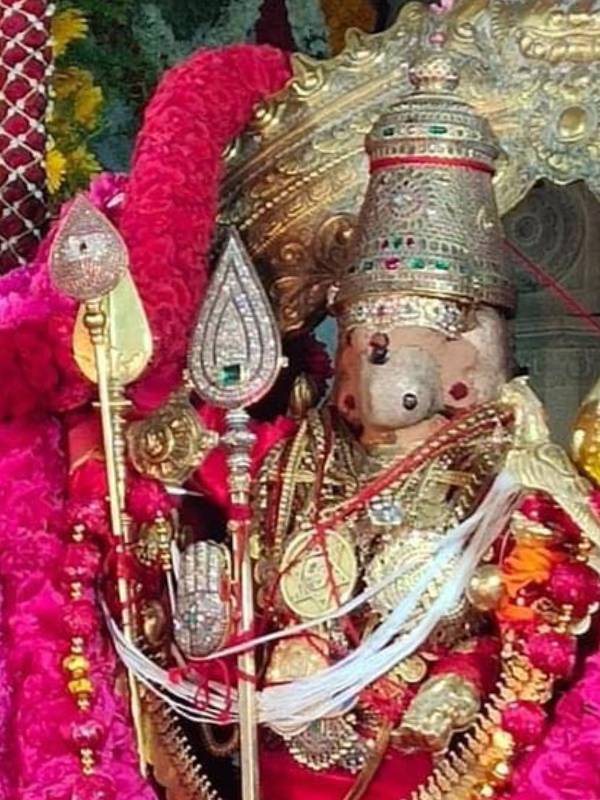 மாவட்ட ஆட்சியர் அறிக்கை 