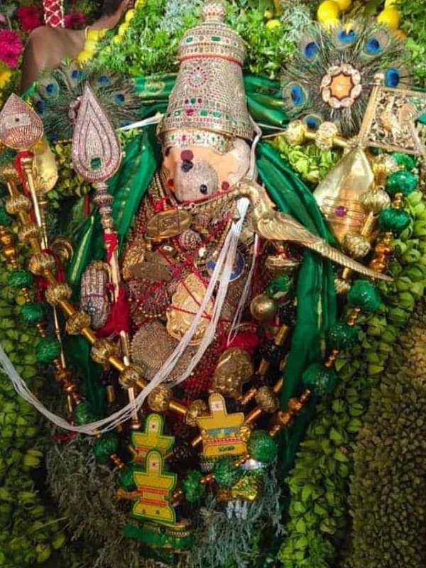 கோவில் வளாகத்தில் உலா வரும் முருகன் 