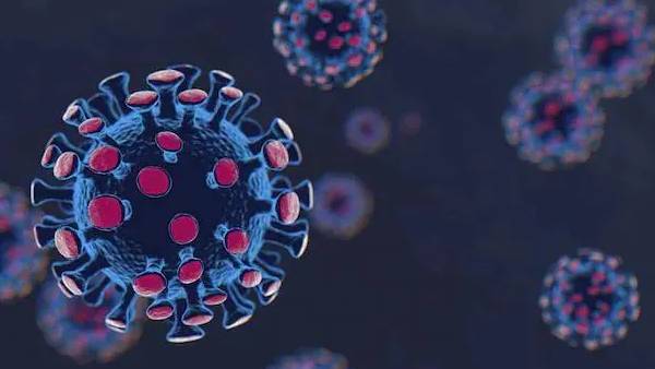 4 மில்லியனுக்கும் அதிகமான பாதிப்பு 