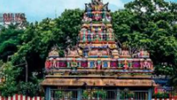 வாடகை வாடகை